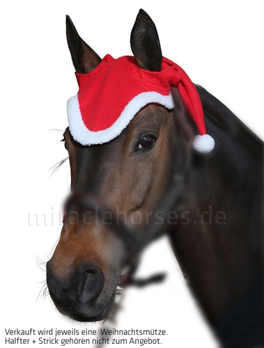 Weihnachtsmütze pferde - weihnachtsmütze,